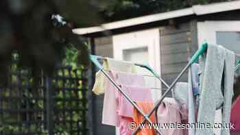 Welsh households drying laundry outside issued important message
