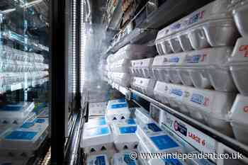 Belgium hit by large Salmonella outbreak with 300 left ill after eating contaminated eggs