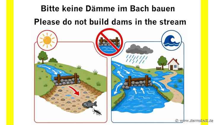 Wasser im Ruthsenbach frei strömen lassen