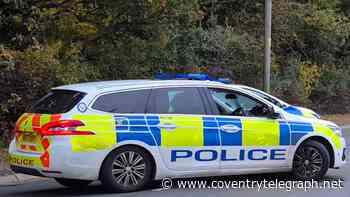 Police investigation after dog walker kicked and punched in Tile Hill street