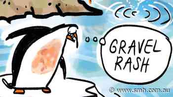 Best of cartoons, August 20, 2026