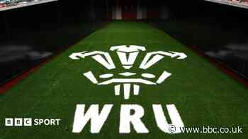 Wales sports minister meets WRU after fans' fears