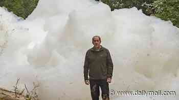 Massive 'foamberg' kills hundreds of fish as water used to extinguish industrial blaze pollutes nearby river