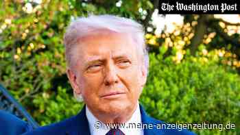 Trump kippt Waldschutzregel: Millionen Hektar Nationalforst drohen Straßenbau und Abholzung