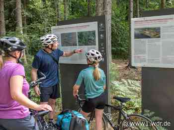 Spuren der alten Römer mit dem Fahrrad entdecken