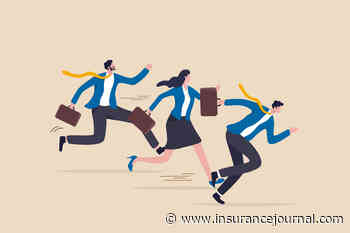 Latin American P/C Insurers Enter Softer Market but Earnings Stay Resilient