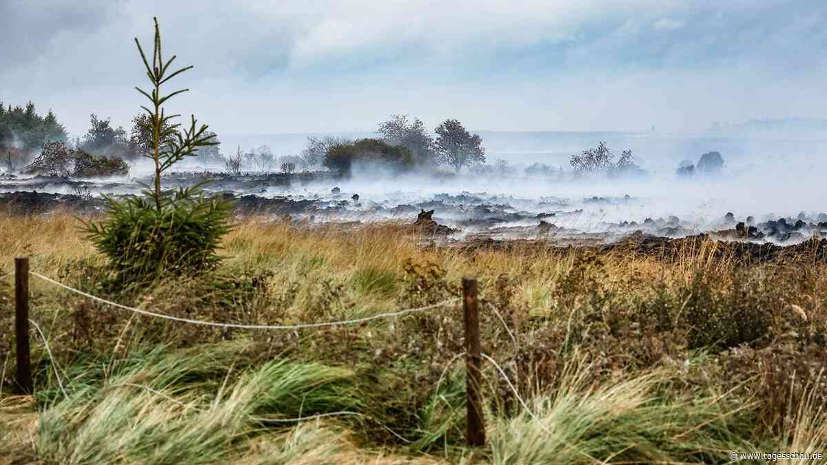 Waldbrände in Europa: Waldbrand in Belgien ist "eingekreist"