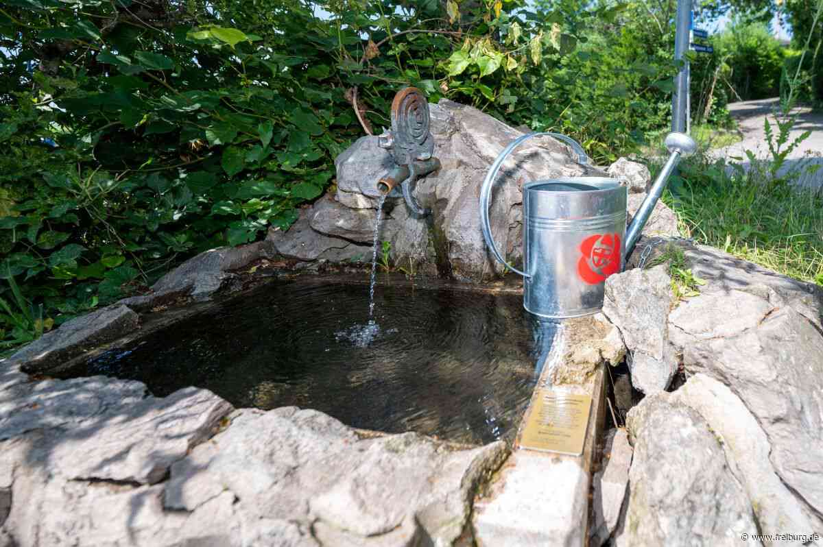 Gartenbewässerung mit Grundwasser