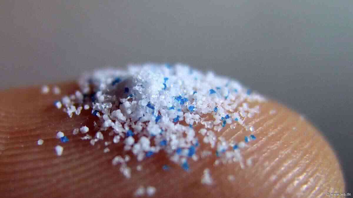 Studie zeigt erschreckenden Zusammenhang zwischen Mikroplastik im Gehirn und Risiko für ALS