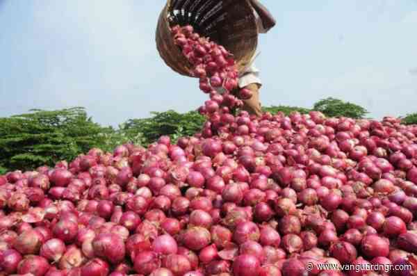 NOPPMAN lifts onion export ban to Ghana, demands safe trade