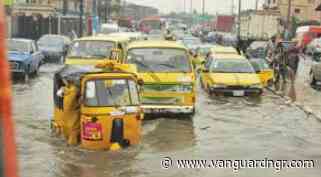 NiHSA warns of flood risk in Kaduna, Niger, Delta, 30 others
