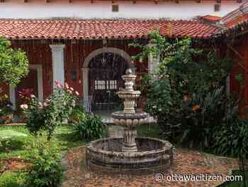 The city gardener: How much rain is too much? 
