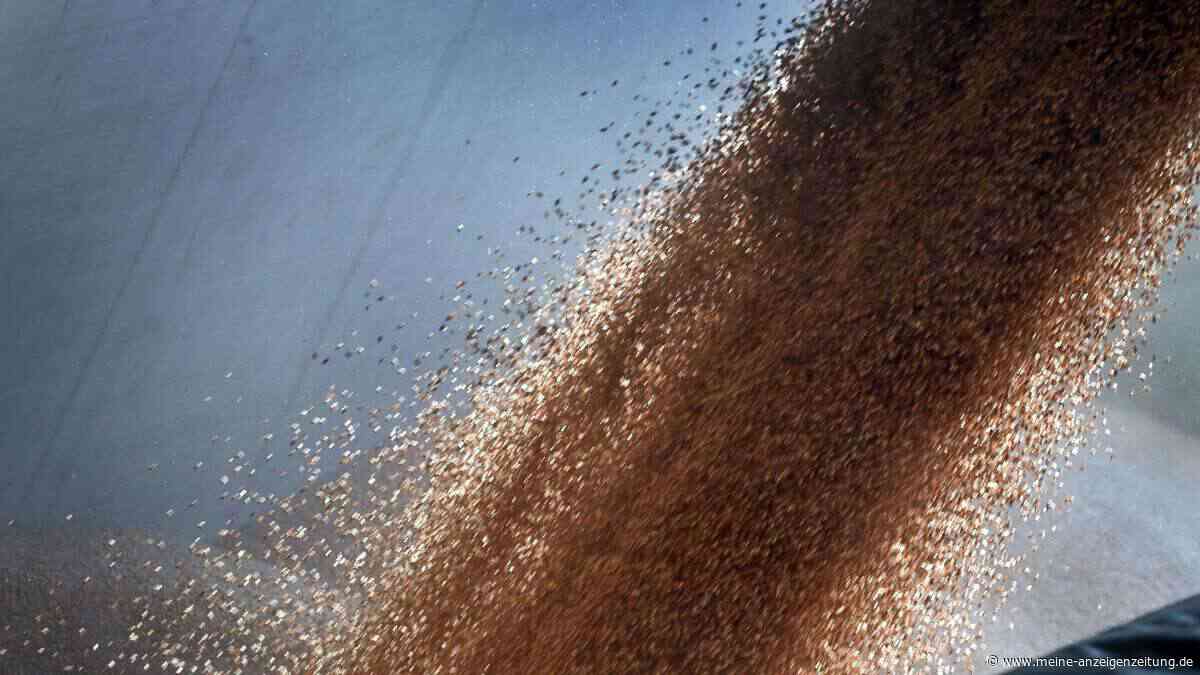 Während wichtigster Handelsphase: Russlands Getreide-Exporte brechen um 90 Prozent ein