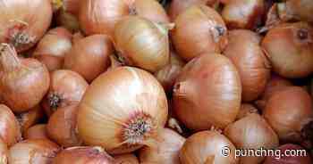 Nigerian onion traders resume exports to Ghana