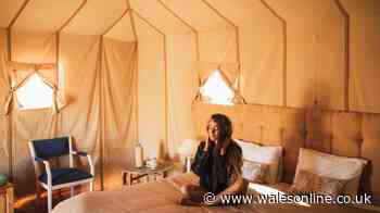 Late summer surge in camping but people won't be roughing it