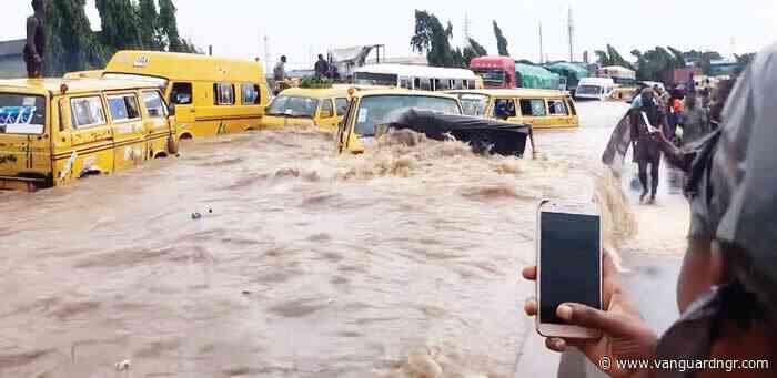 High riverine flood to hit Kaduna, Niger, 31 other states in 7 days – NiHSA