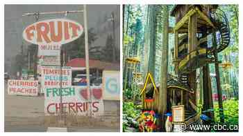 Search for B.C.'s best roadside attraction: Interior finals