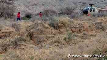 Kenya helicopter crash: 6 dead as safari 'tourist' chopper crashes in Samburu