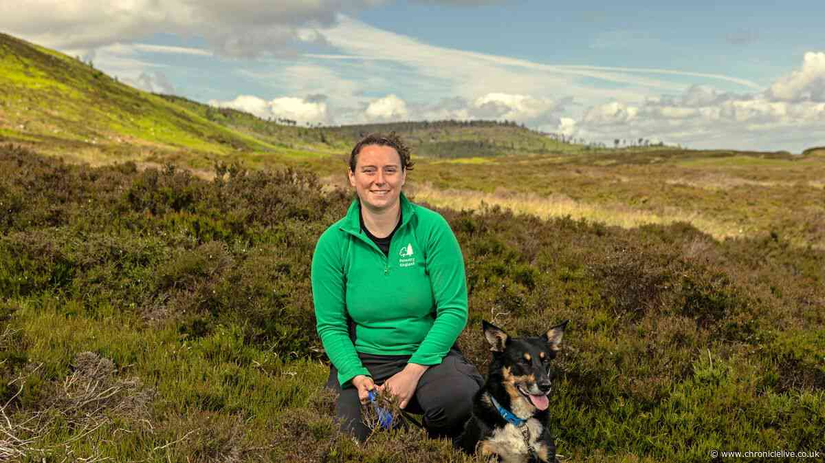 Northumberland dog owners urged to keep control of their pets to protect wildlife and livestock