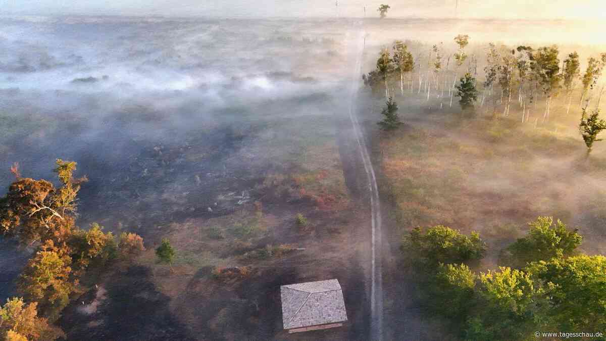 Nach Waldbrand in Südfrankreich: Wie kann der Wald resilienter werden?