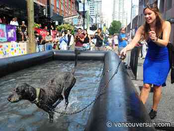 Slobbery drool, giant pool, obedience school: Festival celebrates Vancouver's dogs and the humans who love them