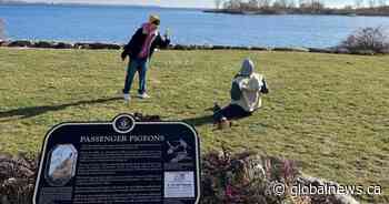 Heritage Toronto’s Plaque Friday videos showcase city’s history with viral moments