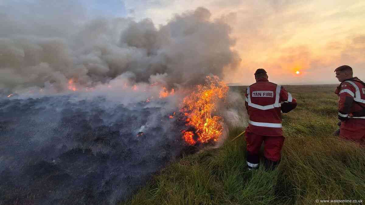 Fire service issues update as it remains at scene of six wildfires in south Wales