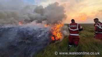 Fire service issues update as it remains at scene of six wildfires in south Wales