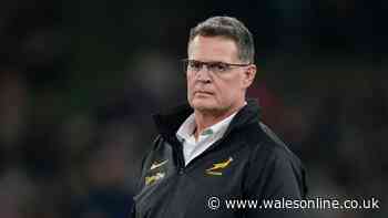 Springboks conspiracy alleged as All Blacks great tells legend 'you're lying'
