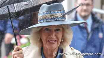 Queen Camilla breaks cover for rainy outing after shock King Charles update