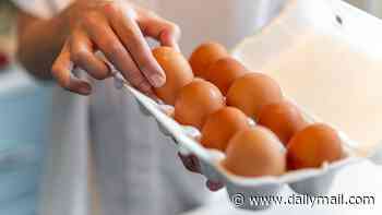 Fury as UK health chiefs won't disclose source of 'imported' deadly eggs - as major salmonella outbreak kills one and sickens 200