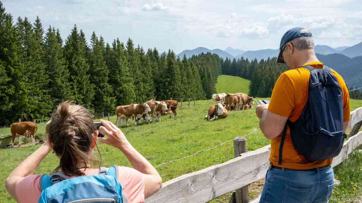 Ferienwohnungen unerwünscht: Zwei Anträge abgelehnt
