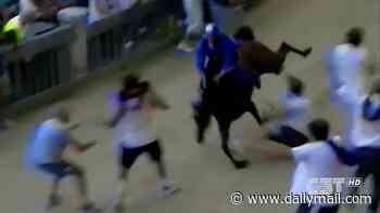 Race horse crashes to the ground and jockey is injured when fans run in front of the animal to celebrate its victory