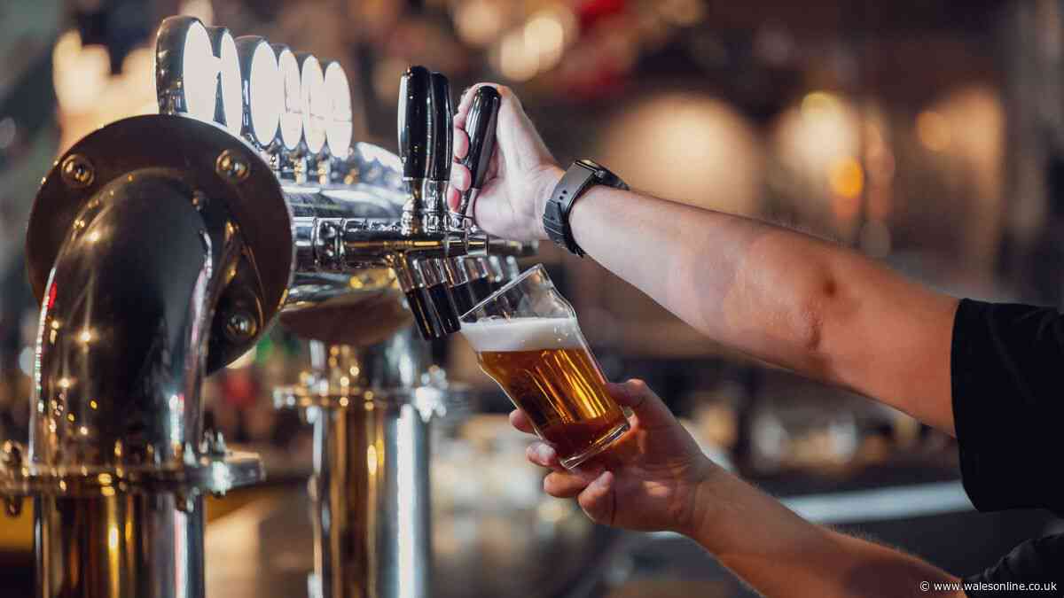 Three-day beer festival with live music coming to Cardigan this August bank holiday