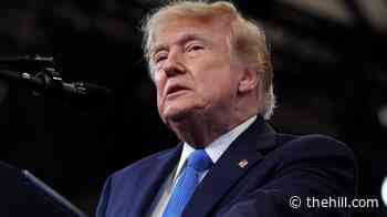 Almost 1 in 4 Trump voters see mass deportation campaign as too aggressive: Survey