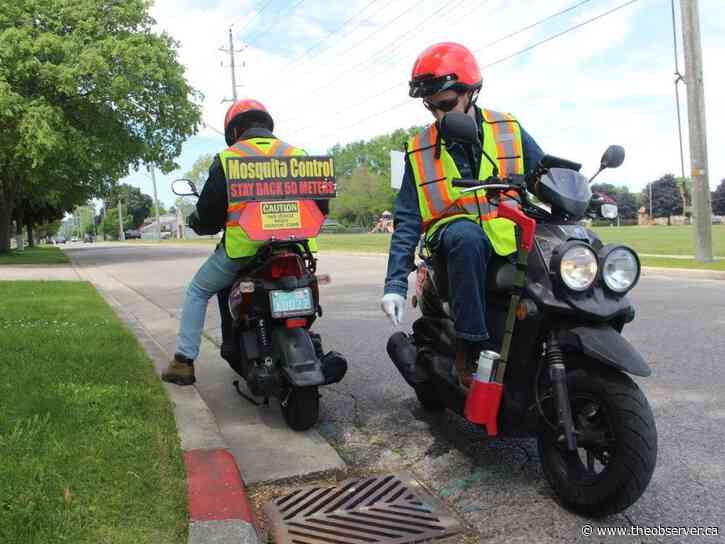 West Nile-infected mosquitoes trapped in Petrolia: Lambton Public Health