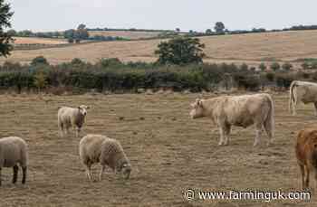 Leading landlords hold crisis talks over drought and bluetongue