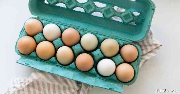 Is it safe to eat eggs? Protect yourself from salmonella amid deadly outbreak