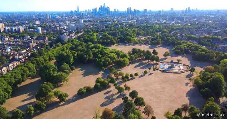 ‘No one will be able to breathe’: Londoners brace for dusty festival chaos this weekend