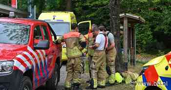 Vrouw drie keer gestoken door Europese hoornaar in natuurgebied bij Oisterwijk, brandweer helpt haar uit natuurgebied