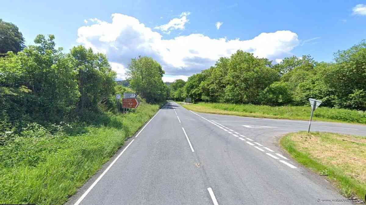 Family devastated after much-loved 76-year-old killed in crash