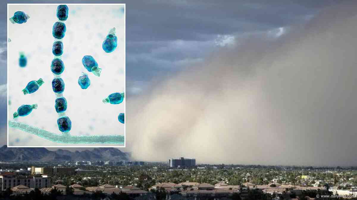 Deadly 'fungal storm' barrels toward major Arizona cities TODAY as officials warn residents to stay indoors