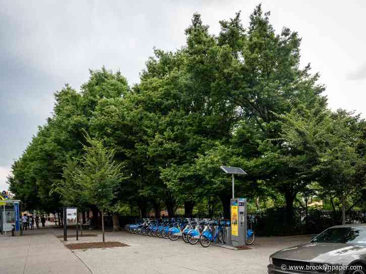 Trees grow in Brooklyn: NYC’s first Urban Forest Plan aims to expand tree canopy