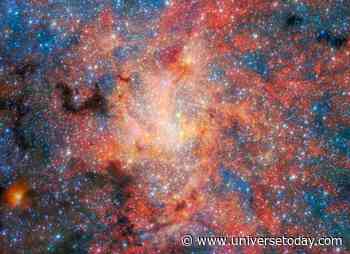 Even Near a Supermassive Black Hole, Stars Enrich the Interstellar Medium