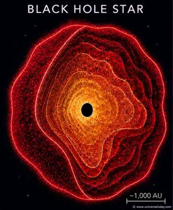 The JWST Little Red Dots Could Be 'Black Hole Stars'