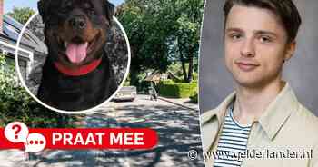 Heb jij weleens te maken gehad met een agressieve hond in de buurt?