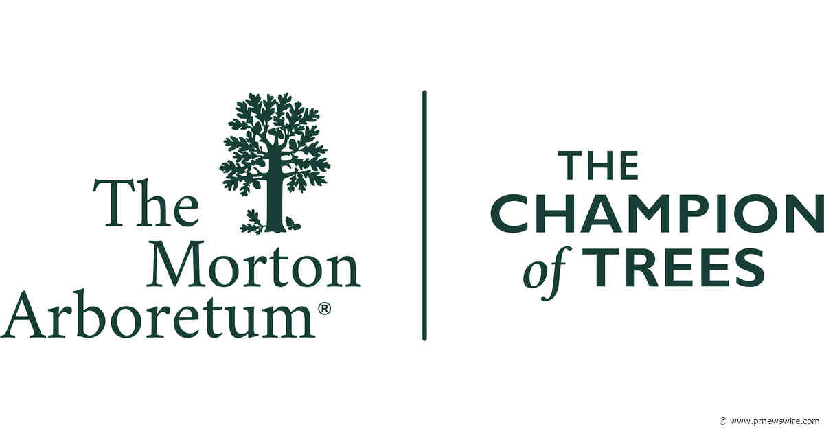 The Morton Arboretum announces Tree Dimensions, a new immersive art exhibition opening May 22