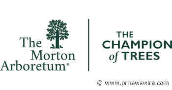 The Morton Arboretum announces Tree Dimensions, a new immersive art exhibition opening May 22