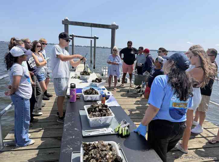 City Island Oyster Reef works to restore a once thriving ecosystem