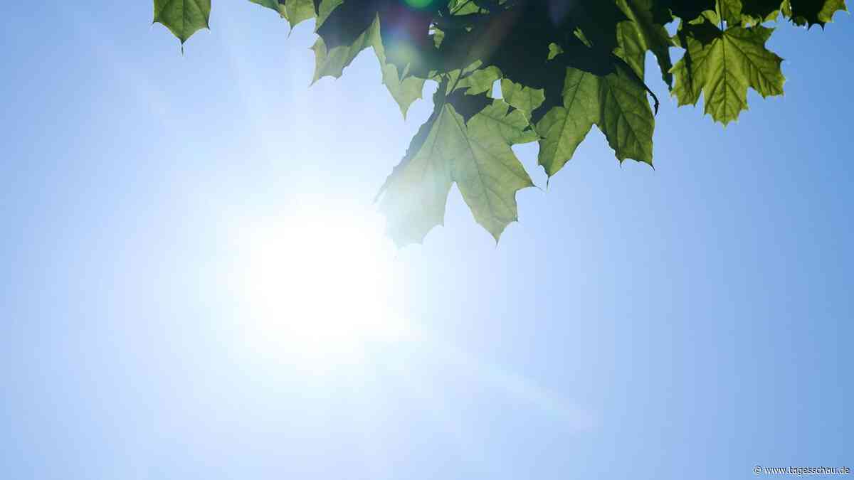 UV-Strahlung hat in Europa  deutlich zugenommen